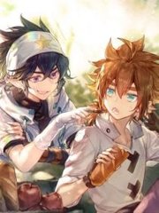 含羞草研究所在线官网 红杏