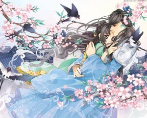 404网站免费进入